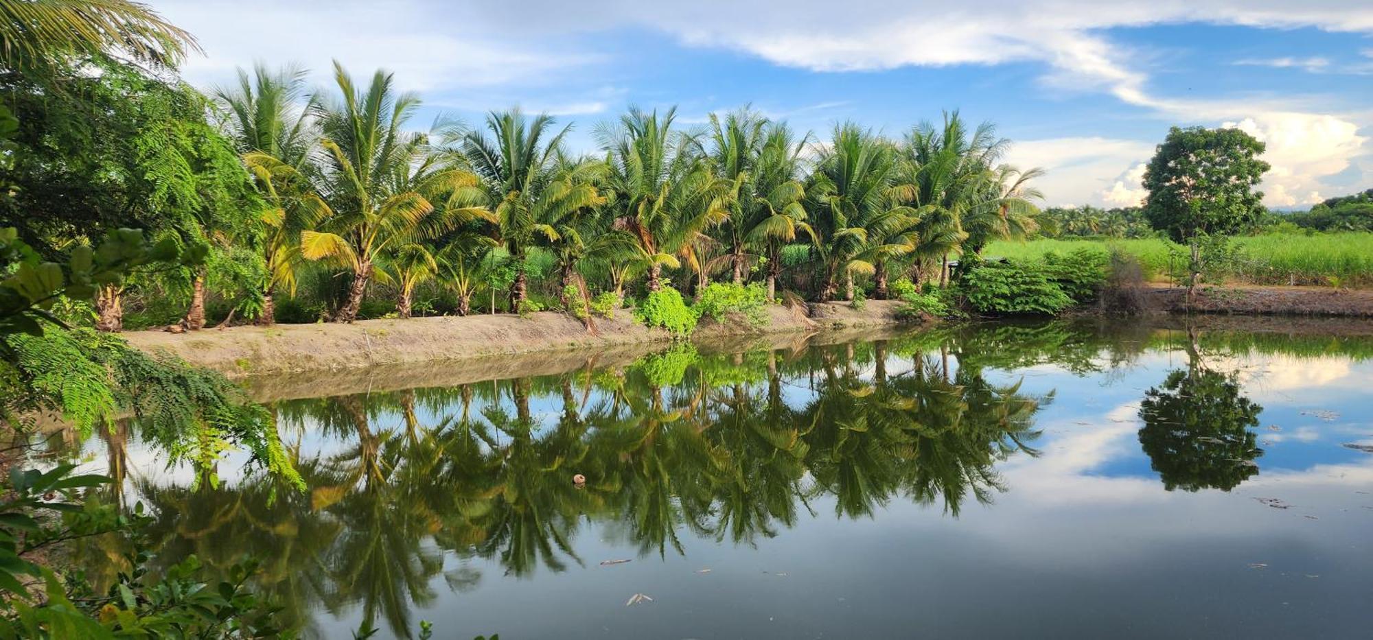 Hotel ตะวันวิลเลจ Ban Khlong Yang Zewnętrze zdjęcie